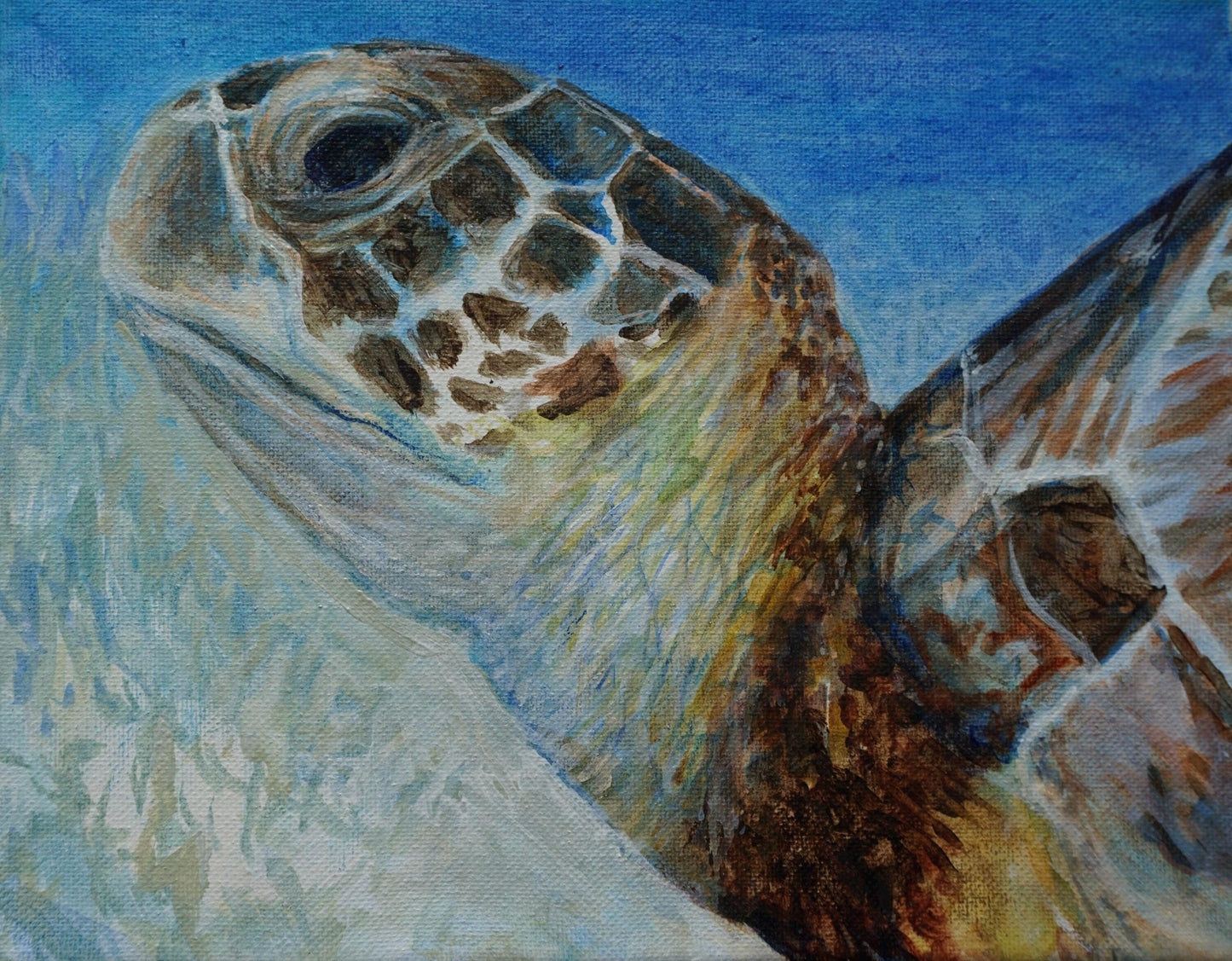 Close-up of a turtle's head and neck with a blue gradient background