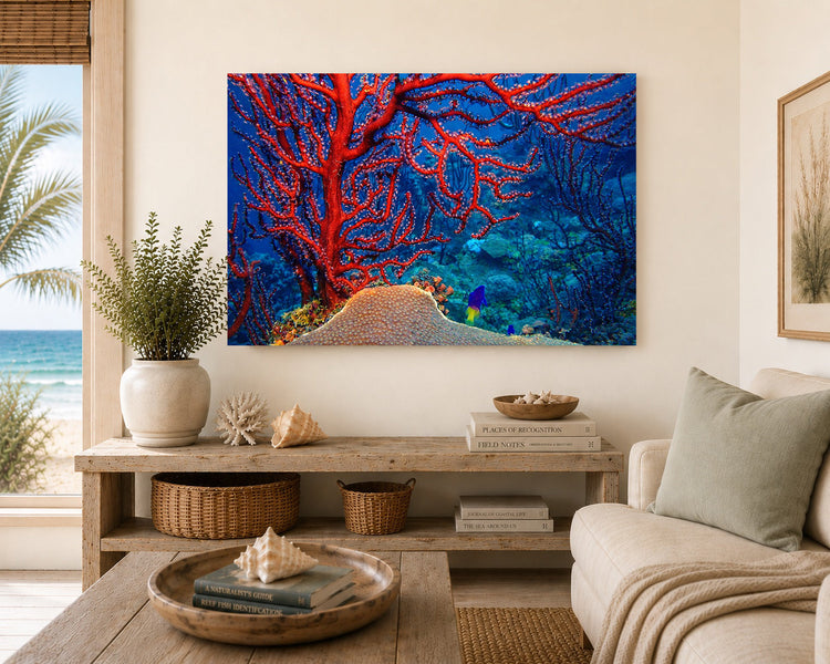 The Living Reef