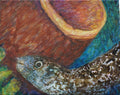 Spotted Eel-Fine Art Print